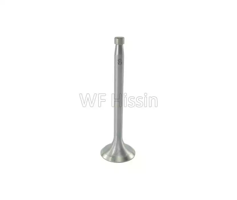 Exhaust valve New Holland 4100